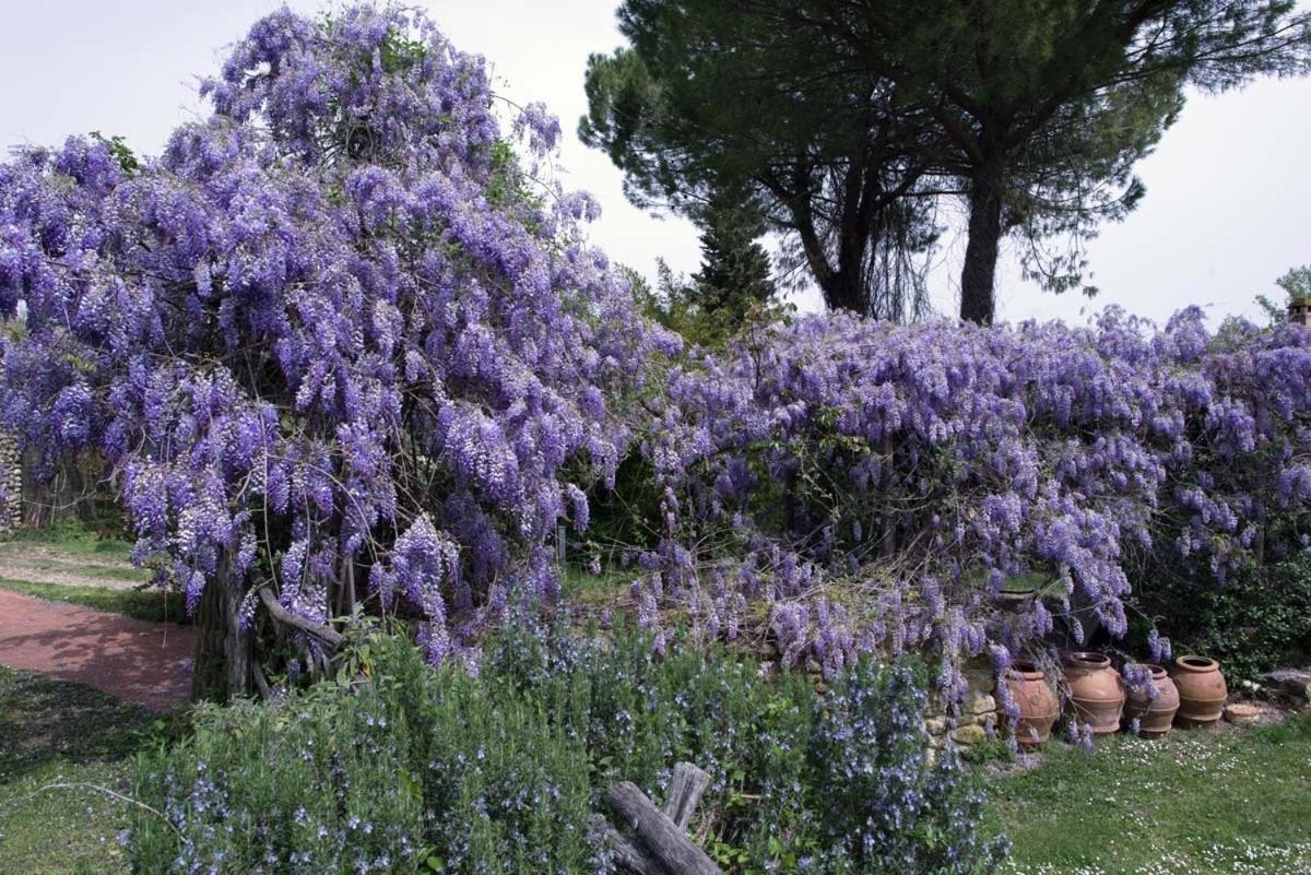 Villa Molino In Chianti Mercatale Val Di Pesa Exterior foto